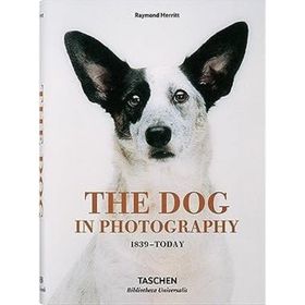 The Dog in Photography 1839–Today - Raymond Merritt