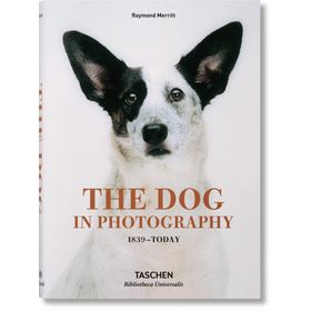 The Dog in Photography 1839–Today - Raymond Merritt