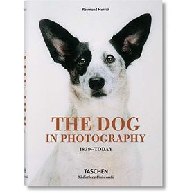 The Dog in Photography 1839–Today - Raymond Merritt