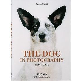 The Dog in Photography 1839–Today - Raymond Merritt