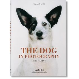 The Dog in Photography 1839–Today - Raymond Merritt