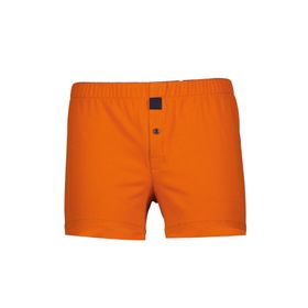 The Don TDNPNY017 Erkek Boxer