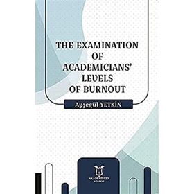 The Examination of Academicians Levels of Burnout Ayşegül Yetkin