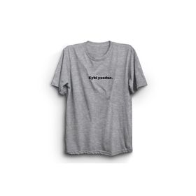 The Fame Eybi Yoxdur Boşver Azerbaycan Slogan Gri Kadın T-shirt