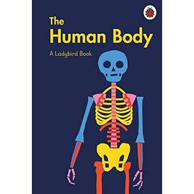 The Human Body A Book-Ladybird Publishing