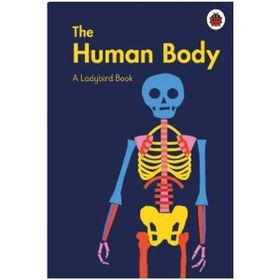 The Human Body A Book-Ladybird Publishing