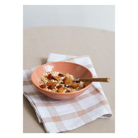 The Mia Noon Somon 15 cm 6'lı Kase Set