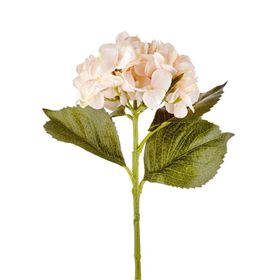The Mia Somon Limonata Sebili