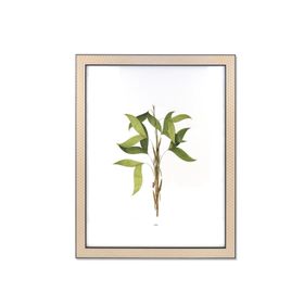 The Mia Vimini Siyah 40x50 cm Fotoğraf Çerçevesi