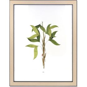 The Mia Vimini Siyah 40x50 cm Fotoğraf Çerçevesi