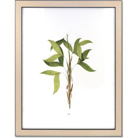 The Mia Vimini Siyah 40x50 cm Fotoğraf Çerçevesi