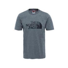 The North Face Easy Gri Erkek T-shirt