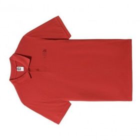 The North Face NF00CG71UBR1 M Polo Piquet Erkek T-shirt