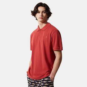 The North Face NF00CG71UBR1 M Polo Piquet Erkek T-shirt
