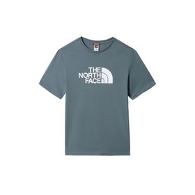 The North Face NF0A2TX3A9L1 S/S Easy TeeTamdori Spice Erkek T-shirt