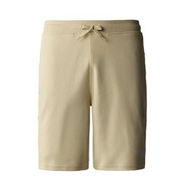 The North Face NF0A3S4F3X41 Graphic Light Sportshorts Erkek Şort