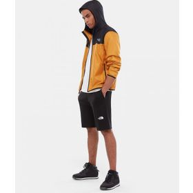 The North Face NF0A3S4FJK31 M Graphic Short Light Erkek Şort