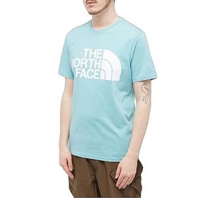 The North Face NF0A4M7X Su Yeşili Standard Ss Tee Erkek T-Shirt