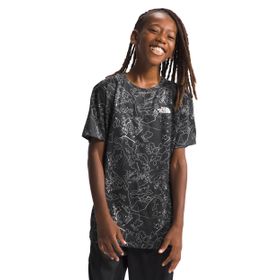 The North Face NF0A86TXSXI1 Gri Erkek T-shirt