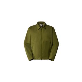 The North Face NF0A870FPIB1 Yeşil Erkek Ceket