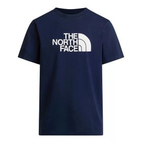 The North Face Nf0a8b6jı851 M Evolutıon Half Dome Regular Short Slee Erkek Tişört