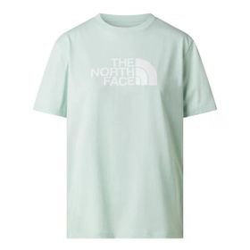 The North Face Nf0a8b6ug701 W Evolutıon Half Dome Relaxed Short Slee Kadın Tişört