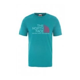 The North Face Rust 2 Yeşil Erkek T-shirt