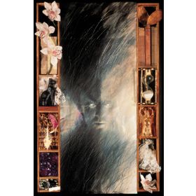 The Sandman Vol. 1 - Kolektif