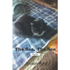 The Sea, The Sea - Iris Murdoch