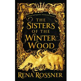 The Sisters of the Winter Wood Kitap