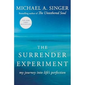 The Surrender Experiment: My Journey into Life's Perfection