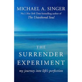 The Surrender Experiment: My Journey into Life's Perfection