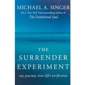 The Surrender Experiment: My Journey into Life's Perfection