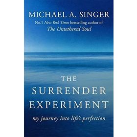 The Surrender Experiment: My Journey into Life's Perfection