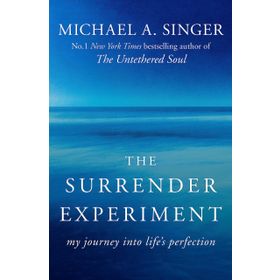 The Surrender Experiment: My Journey into Life's Perfection