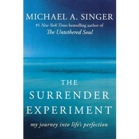 The Surrender Experiment: My Journey into Life's Perfection