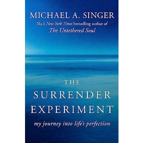 The Surrender Experiment: My Journey into Life's Perfection