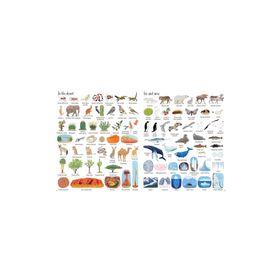 The Usborne 1000 Things In Nature