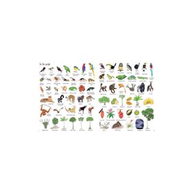 The Usborne 1000 Things In Nature