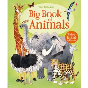 The Usborne Big Book Of Animals