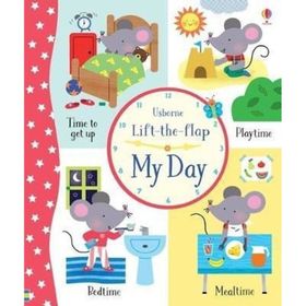 The Usborne Lift the Flap My Day