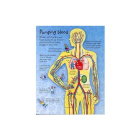 The Usborne See Inside Your Body