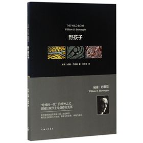 The Wild Boys A Book of the Dead