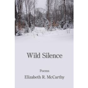 The Wild Silence - Raynor Winn