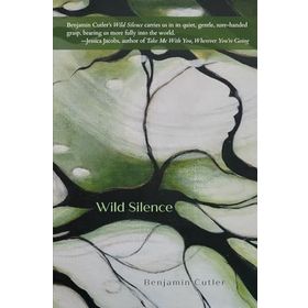 The Wild Silence - Raynor Winn