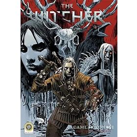 The Witcher Cilt 1 - Camlar Konağı - Paul Tobin