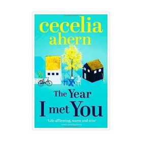 The Year I Met You - Cecelia Ahern