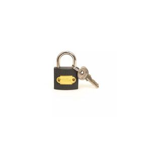 Thor 32 mm Gri Asma Kilit