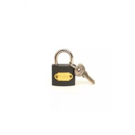 Thor 32 mm Gri Asma Kilit