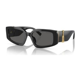 Tiffany & Co. 0TF4208U 8001S454 Kadın Güneş Gözlüğü